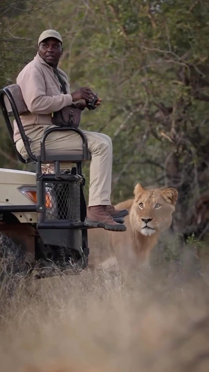 Post 5 by Travel|Vacations|Freedom on Instagram (video)