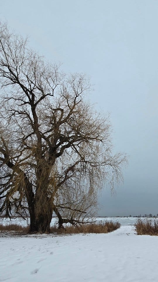 Post 3 by Kiki | Ontario Travel Creator on Instagram (video)