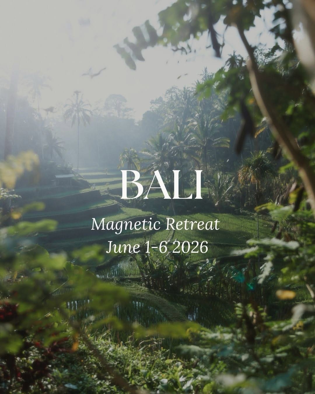 Post 2 by WILDLY WELL RETREATS on Instagram (carousel)