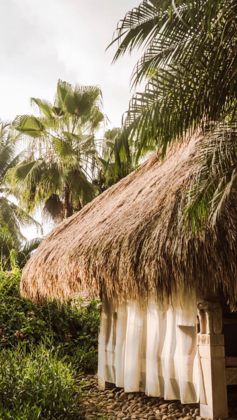 Post 5 by WILDLY WELL RETREATS on Instagram (video)