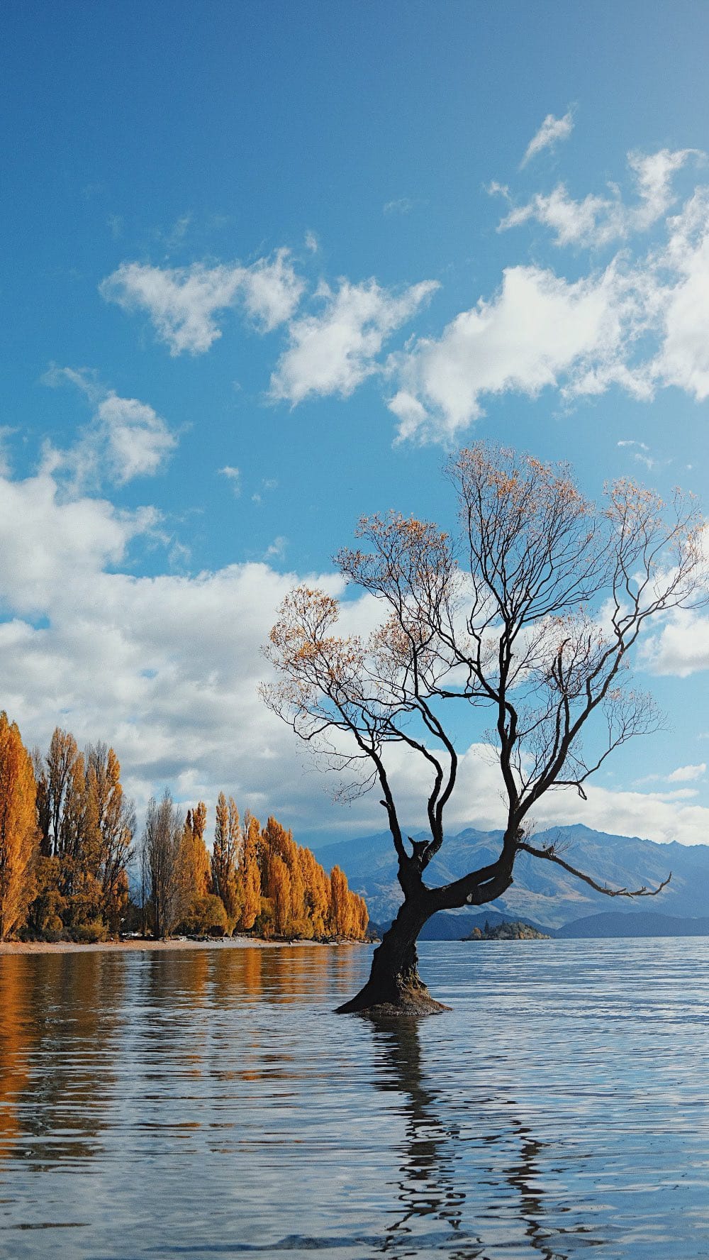 Post 10 by Chris Hau on Instagram (video)