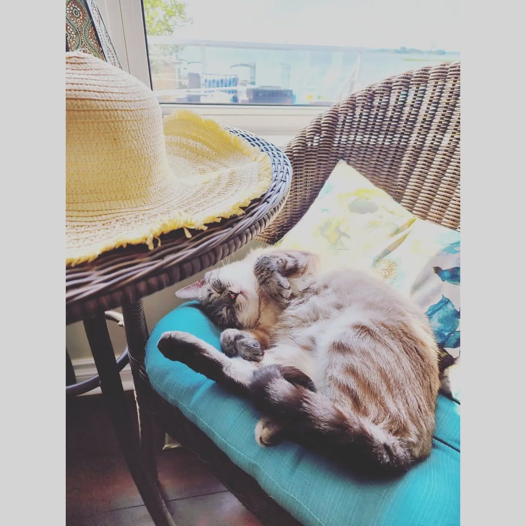 Post 6 by @lovelylifejack on Instagram (image)