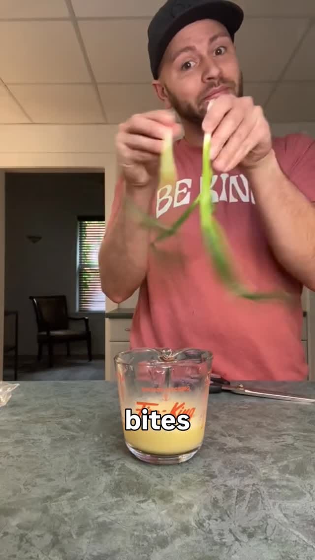 Post 3 by Jorey Tessier on Instagram (video)