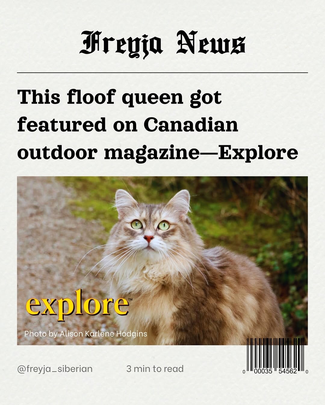 Post 9 by Freyja | Adventure Cat | Bird Interpreter | Meowdel on Instagram (carousel)