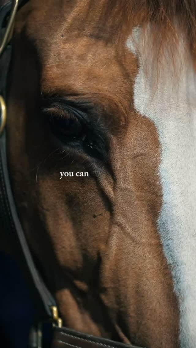 Post 2 by Mark Spowart & Mette Holm on Instagram (video)