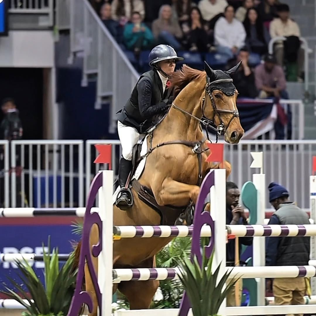 Post 5 by Mark Spowart & Mette Holm on Instagram (video)