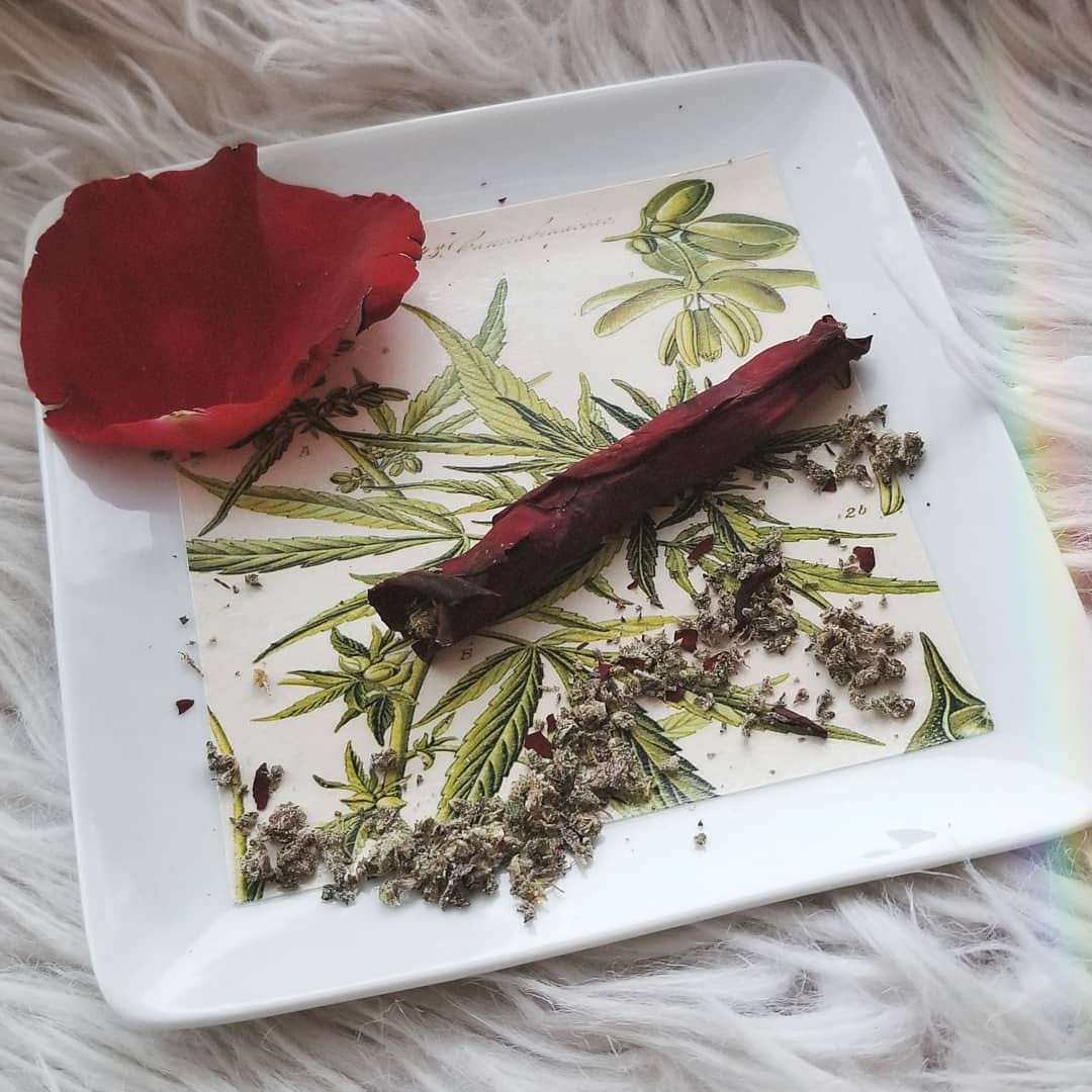 Post 4 by Amanda Lokisdottir on Instagram (image)