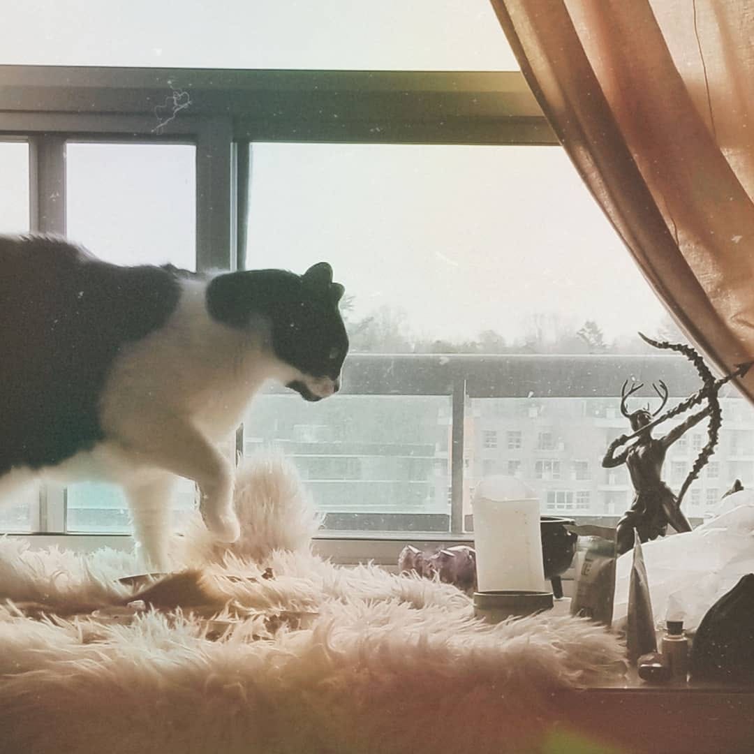 Post 7 by Amanda Lokisdottir on Instagram (image)