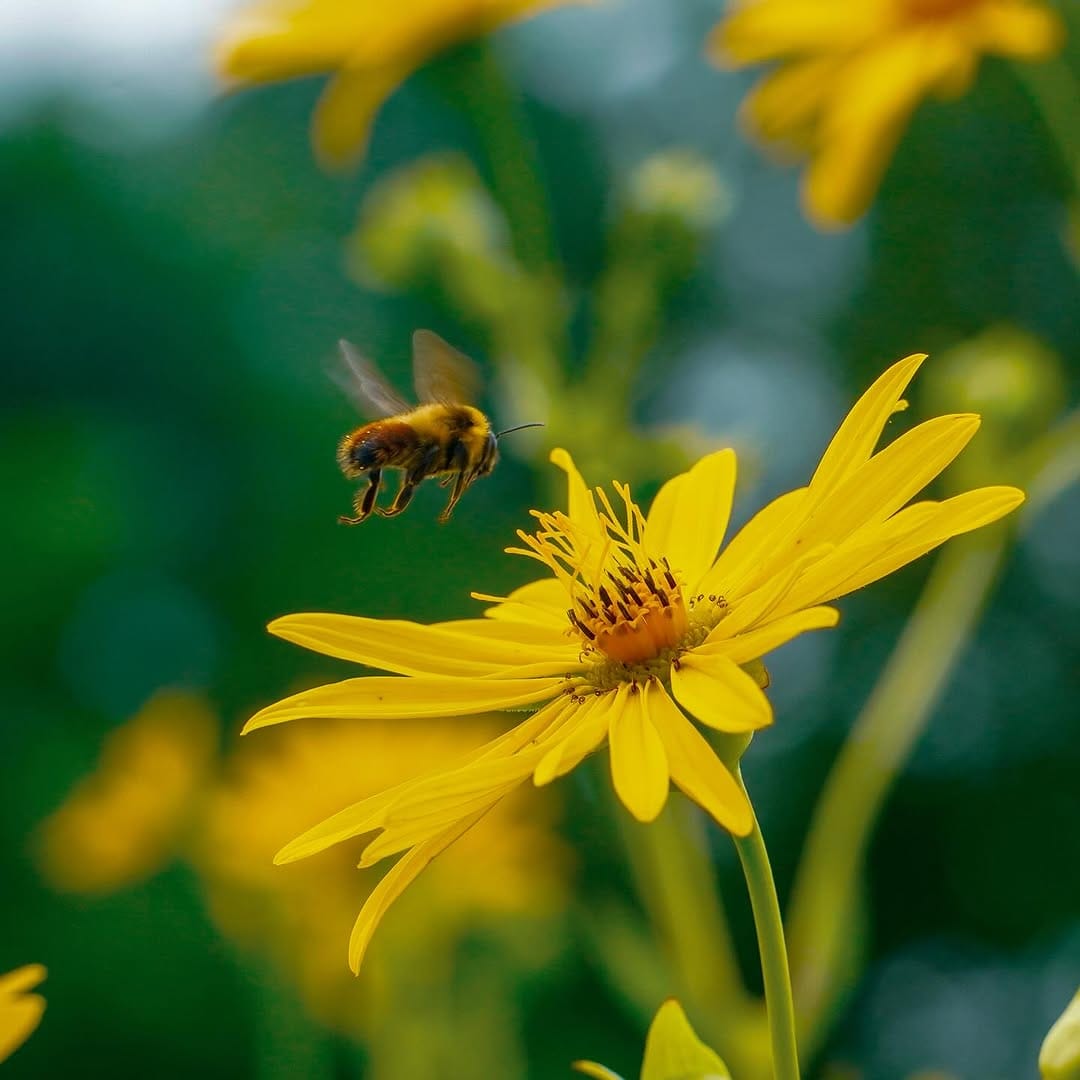 Post 10 by Mario Chaves on Instagram (image)