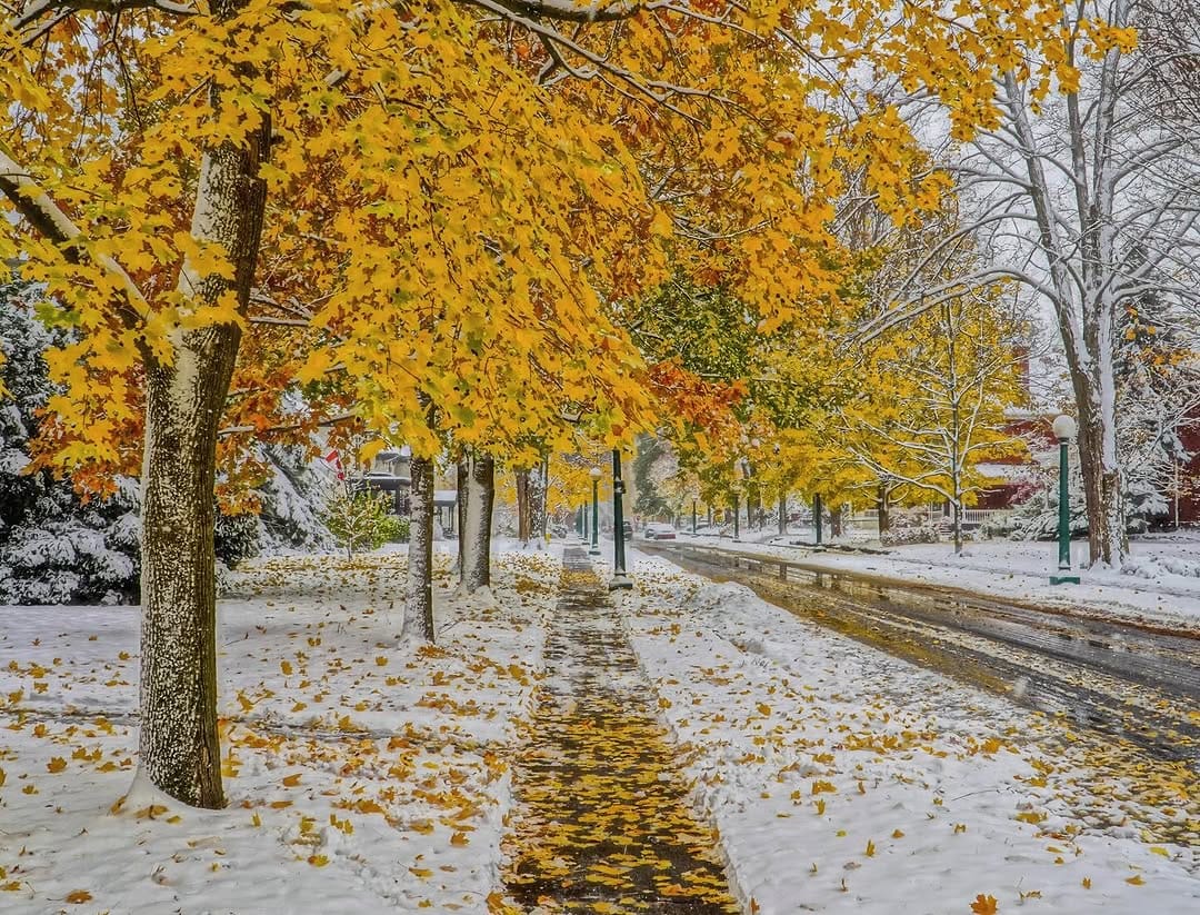 Post 5 by Mario Chaves on Instagram (image)