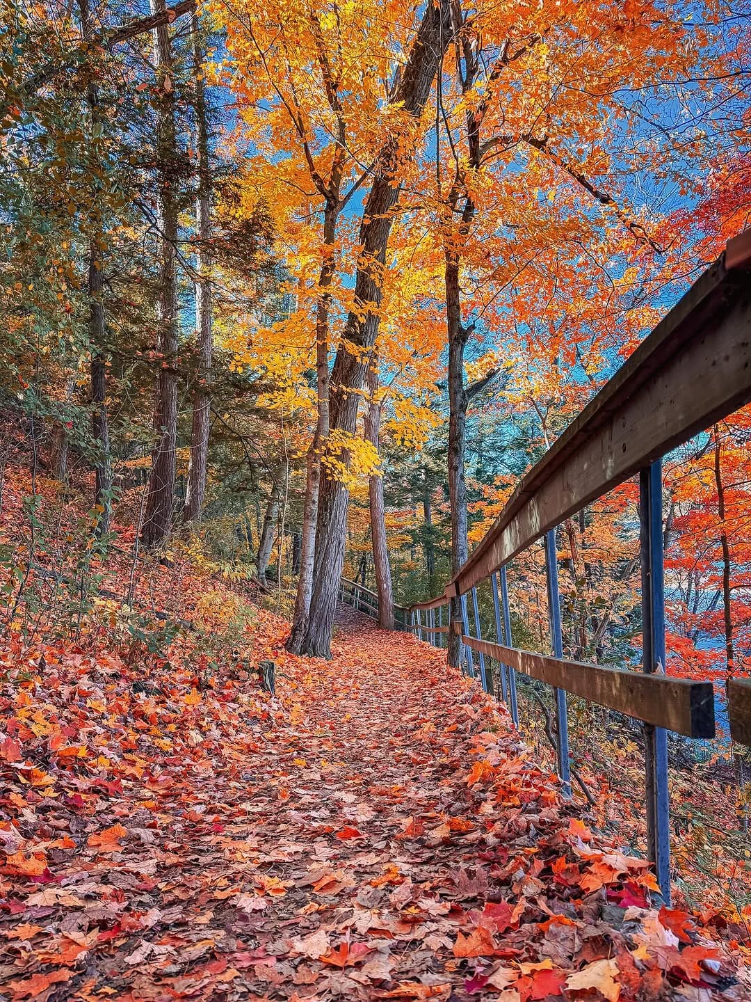 Post 6 by Mario Chaves on Instagram (image)