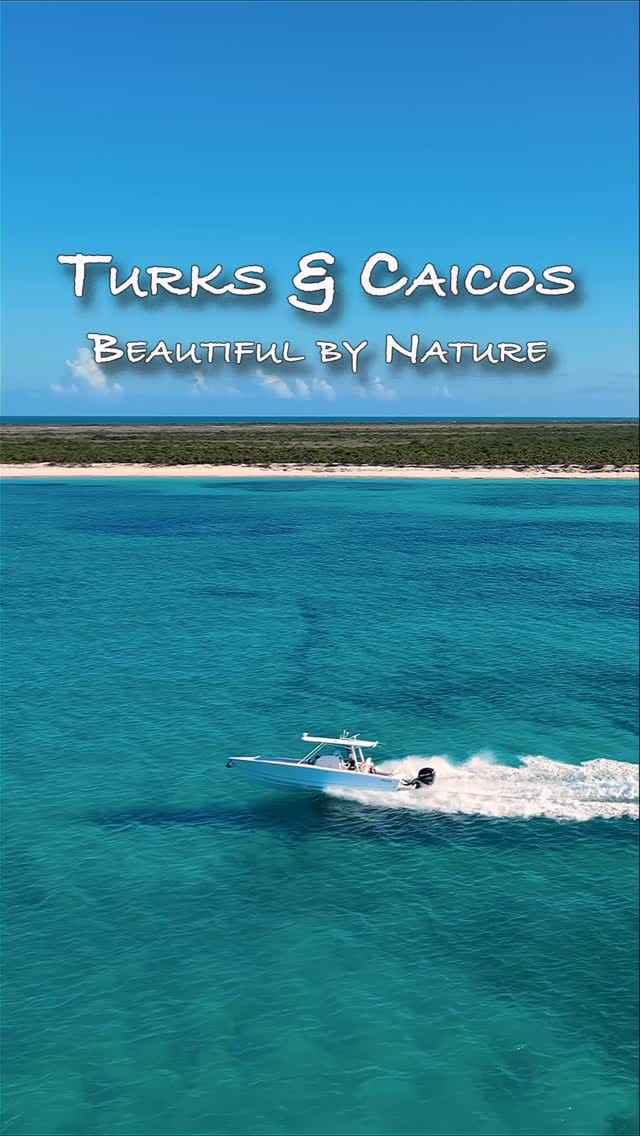 Post 4 by Erica | Travel Photographer • Content Creator • Epicurean on Instagram (video)