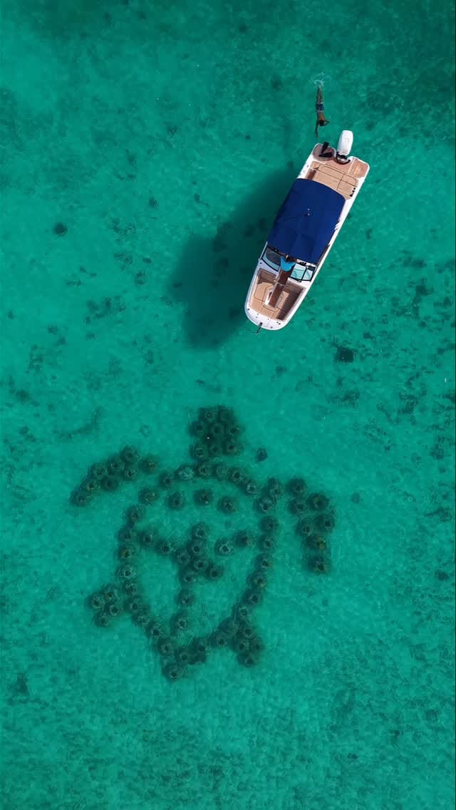 Post 5 by Erica | Travel Photographer • Content Creator • Epicurean on Instagram (video)