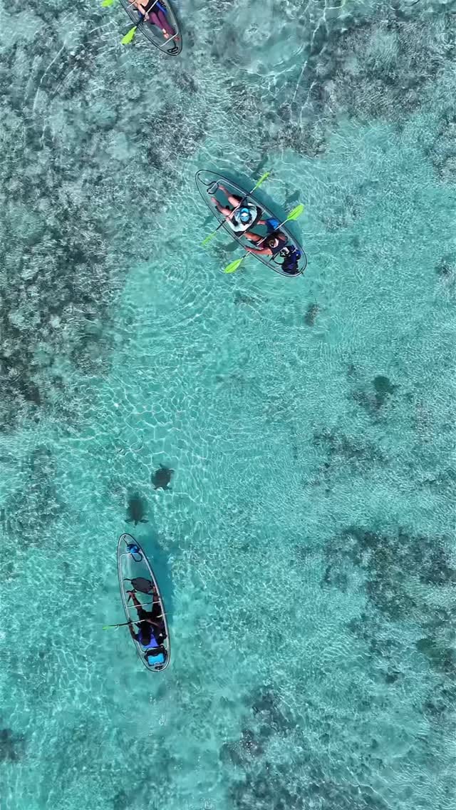 Post 1 by Erica | Travel Photographer • Content Creator • Epicurean on Instagram (video)
