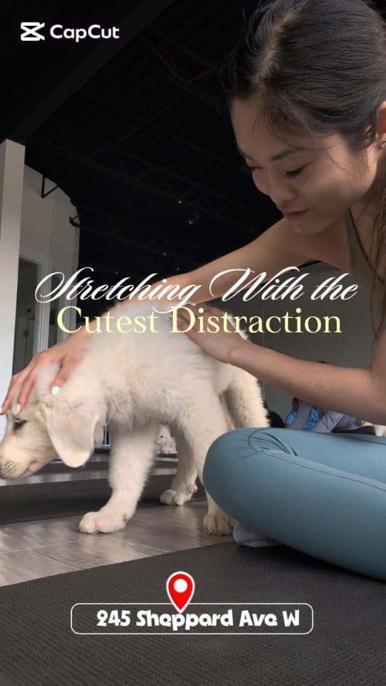 Post 8 by @kittypup_yoga on Instagram (video)
