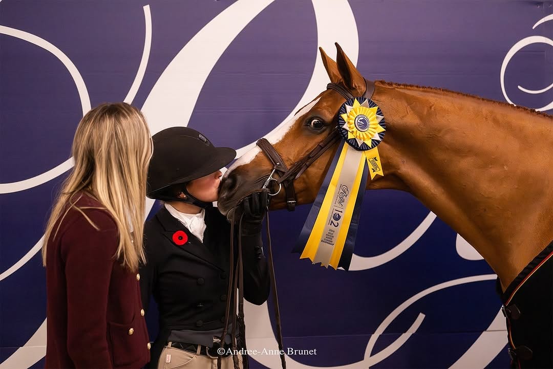 Post 10 by Andree-Anne Brunet | Horse Shows. Lifestyle. Legacy on Instagram (carousel)
