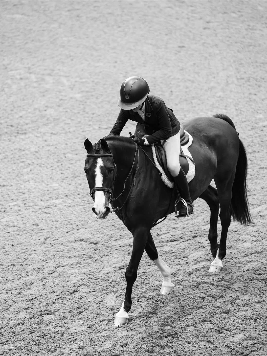 Post 7 by Andree-Anne Brunet | Horse Shows. Lifestyle. Legacy on Instagram (carousel)