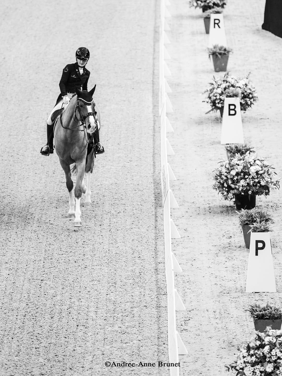Post 1 by Andree-Anne Brunet | Horse Shows. Lifestyle. Legacy on Instagram (image)