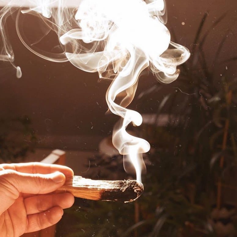 Post 9 by PALO SANTO SUPPLY CO. on Instagram (image)