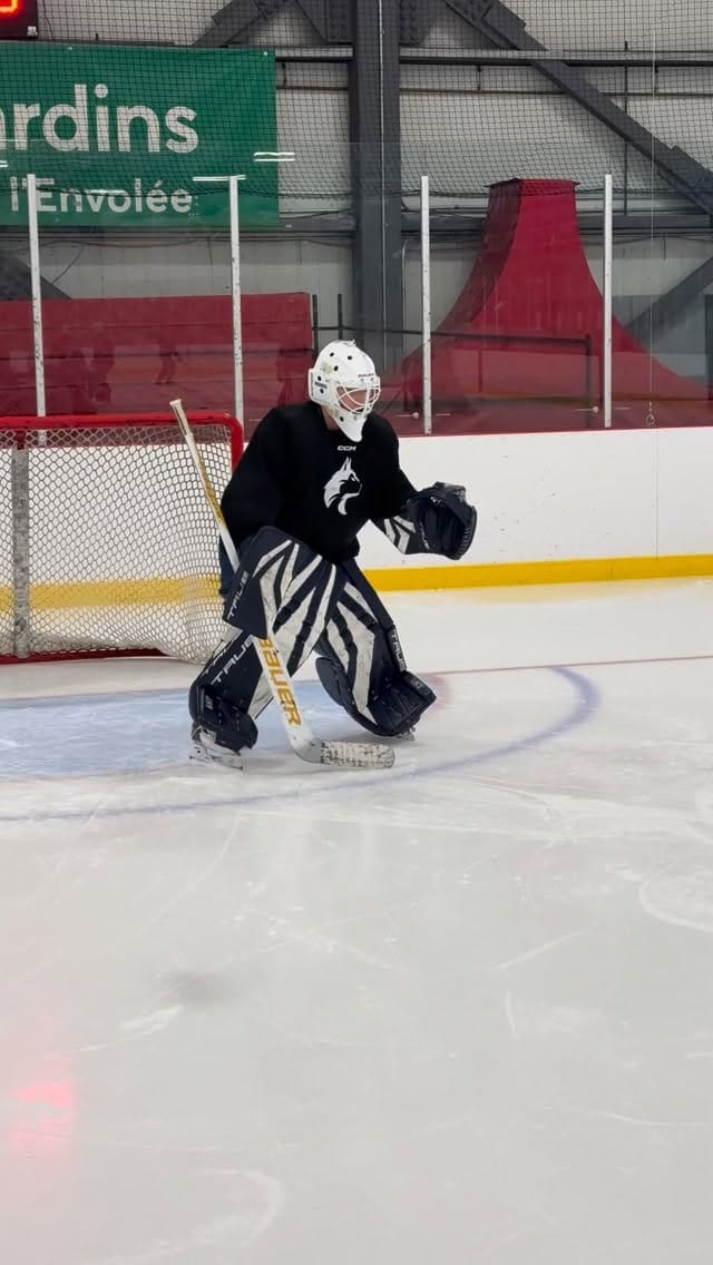 Post 3 by Paramount Hockey Goalies on Instagram (video)