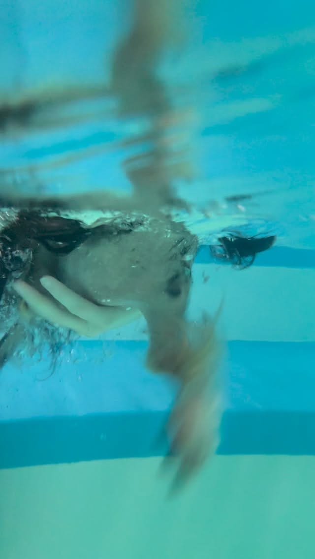 Post 9 by Aqua Paws Canine Aquatic Fitness Centres on Instagram (video)