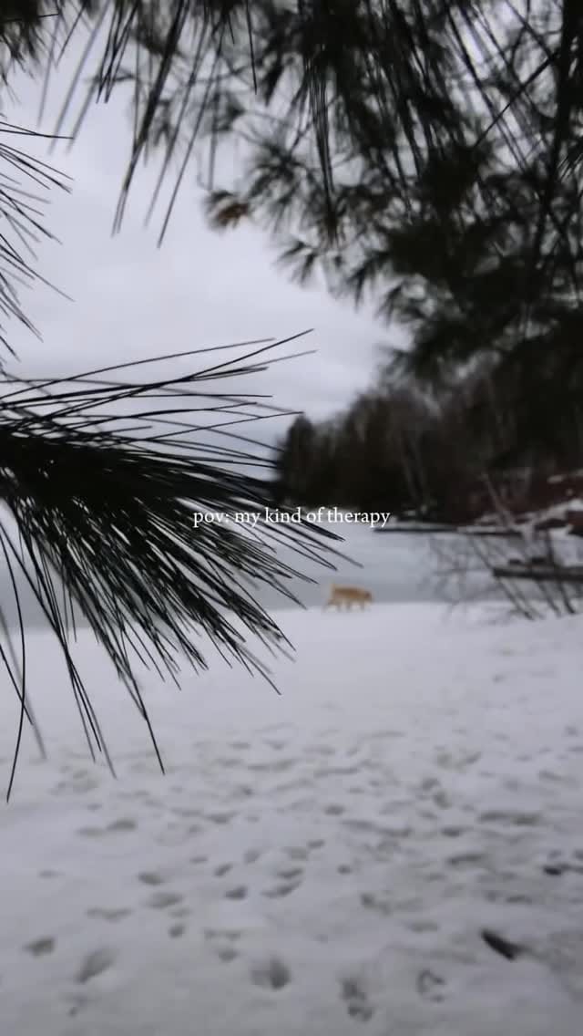 Post 7 by Arthur & Indy | intentional living with sensitive dogs on Instagram (video)