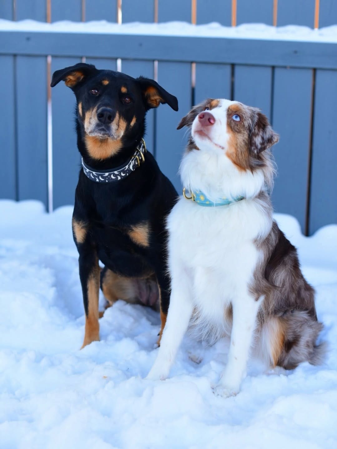 Post 1 by Kelsey | Lulu & Soda on Instagram (carousel)