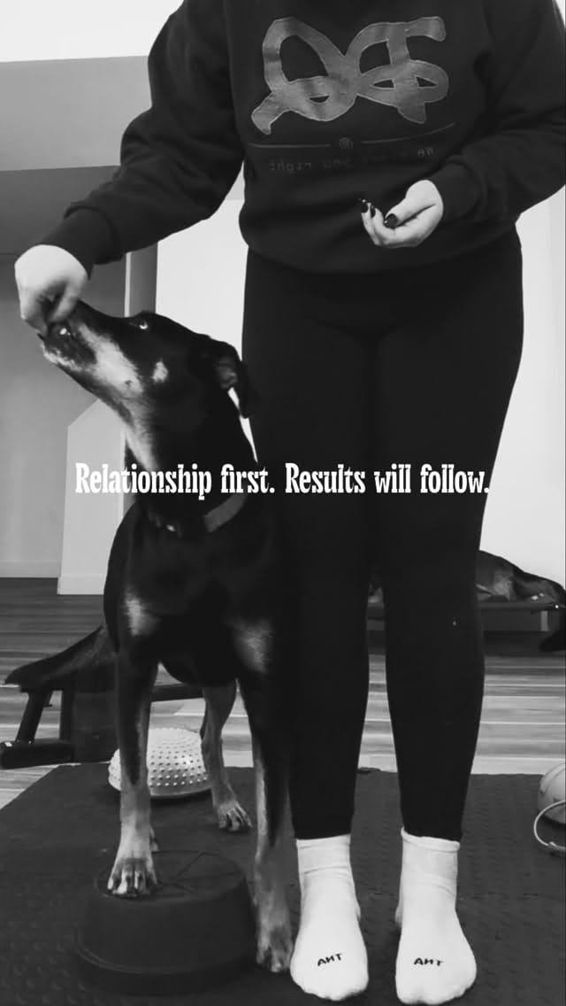 Post 8 by Kelsey | Lulu & Soda on Instagram (video)