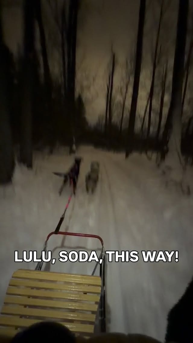 Post 3 by Kelsey | Lulu & Soda on Instagram (video)