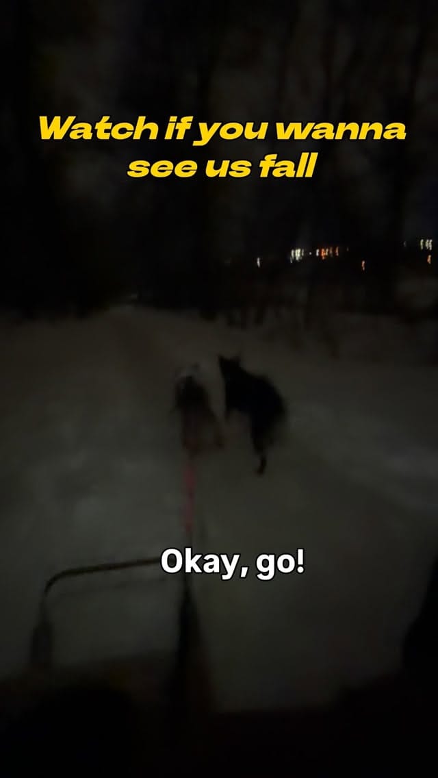 Post 2 by Kelsey | Lulu & Soda on Instagram (video)