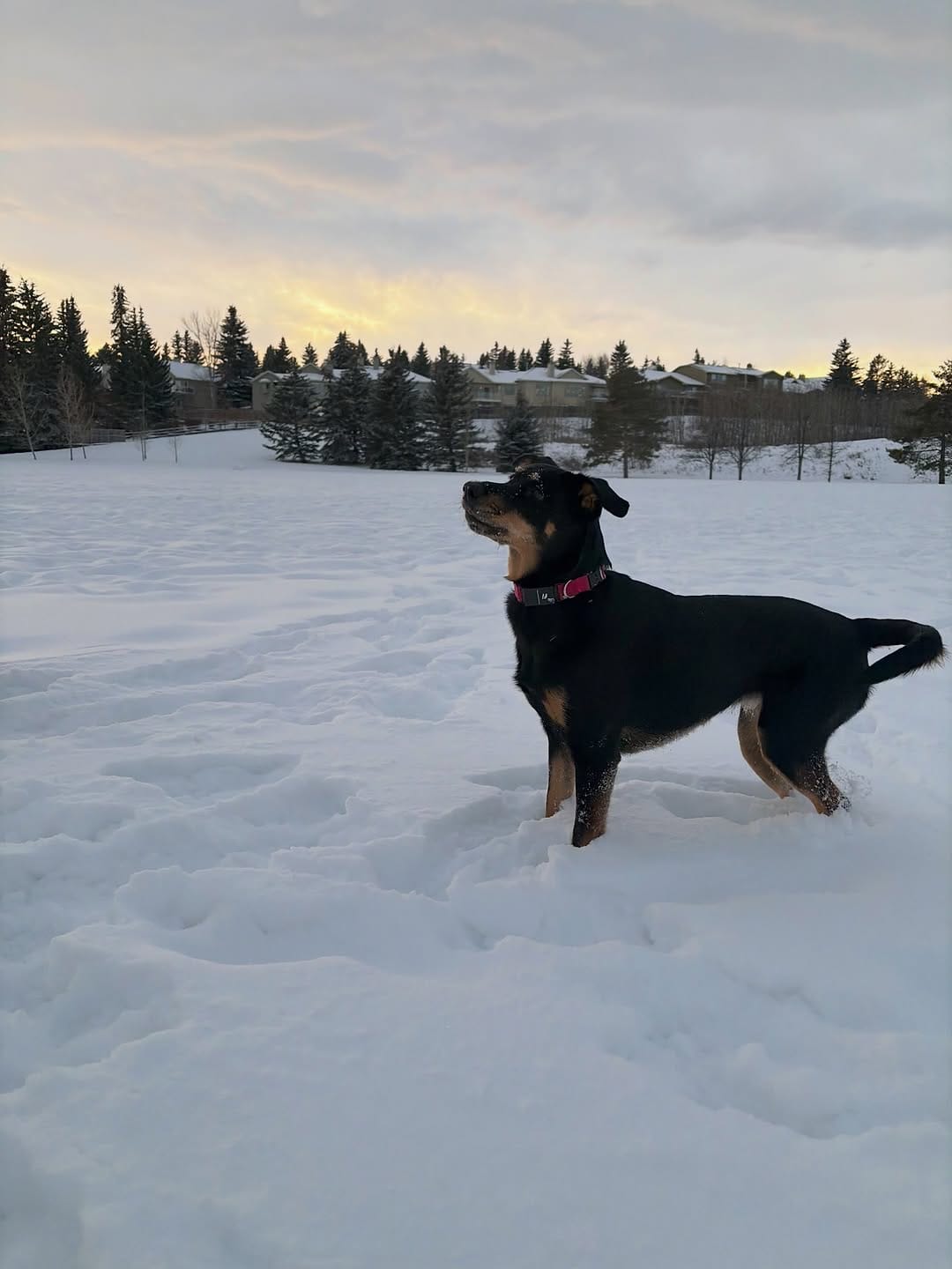 Post 9 by Kelsey | Lulu & Soda on Instagram (carousel)