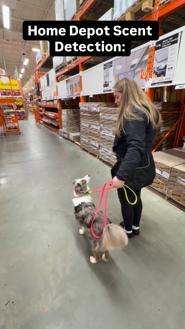 Post 5 by Kelsey | Lulu & Soda on Instagram (video)