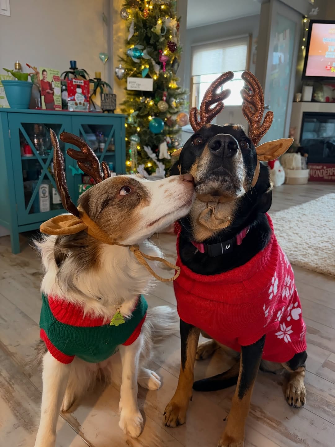 Post 7 by Kelsey | Lulu & Soda on Instagram (carousel)
