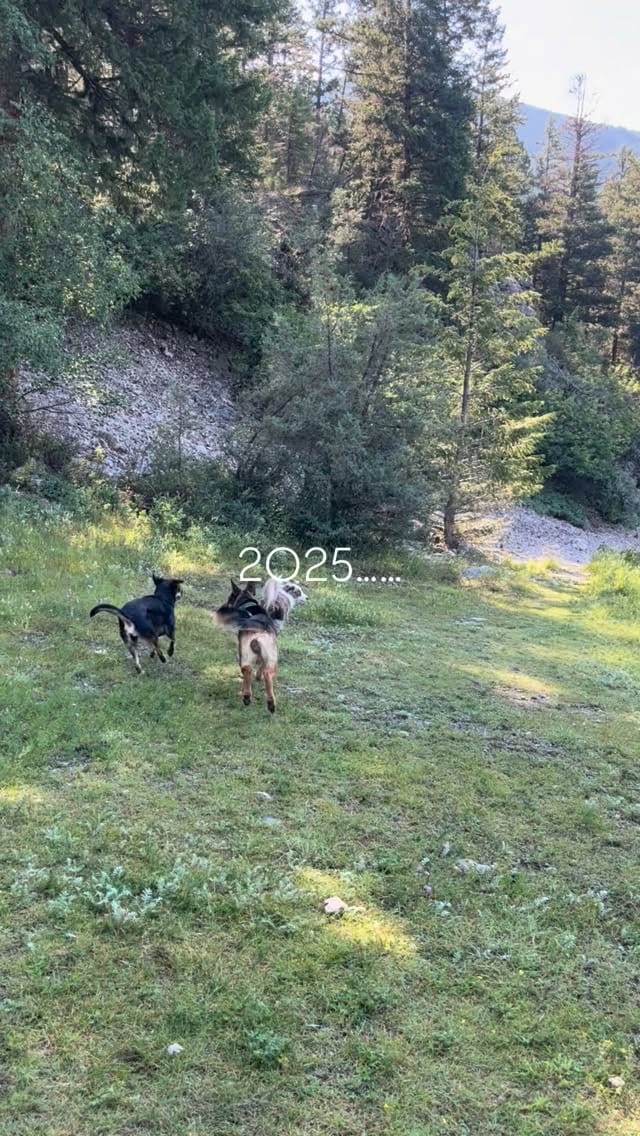 Post 6 by Kelsey | Lulu & Soda on Instagram (video)