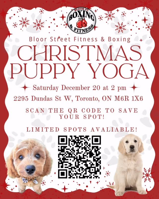 Post 5 by Bloor Street Fitness & Boxing on Instagram (video)