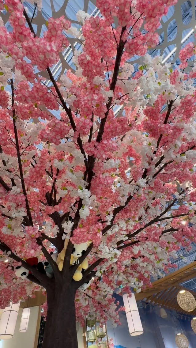 Post 6 by 𝐌𝐢𝐬𝐡𝐚 | Travel Content Creator | EDMONTON, AB 🇨🇦 on Instagram (video)