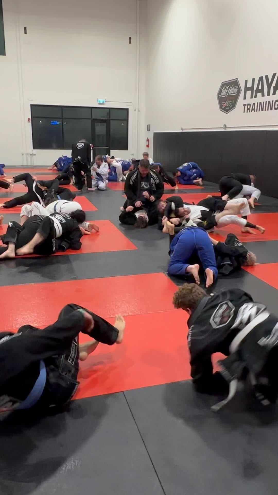 Post 9 by Mixed Martial Arts on Instagram (video)