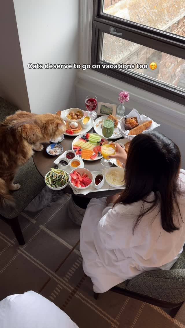 Post 2 by 𝐑𝐞𝐢𝐧𝐡𝐚𝐫𝐝𝐭 🧶 on Instagram (video)