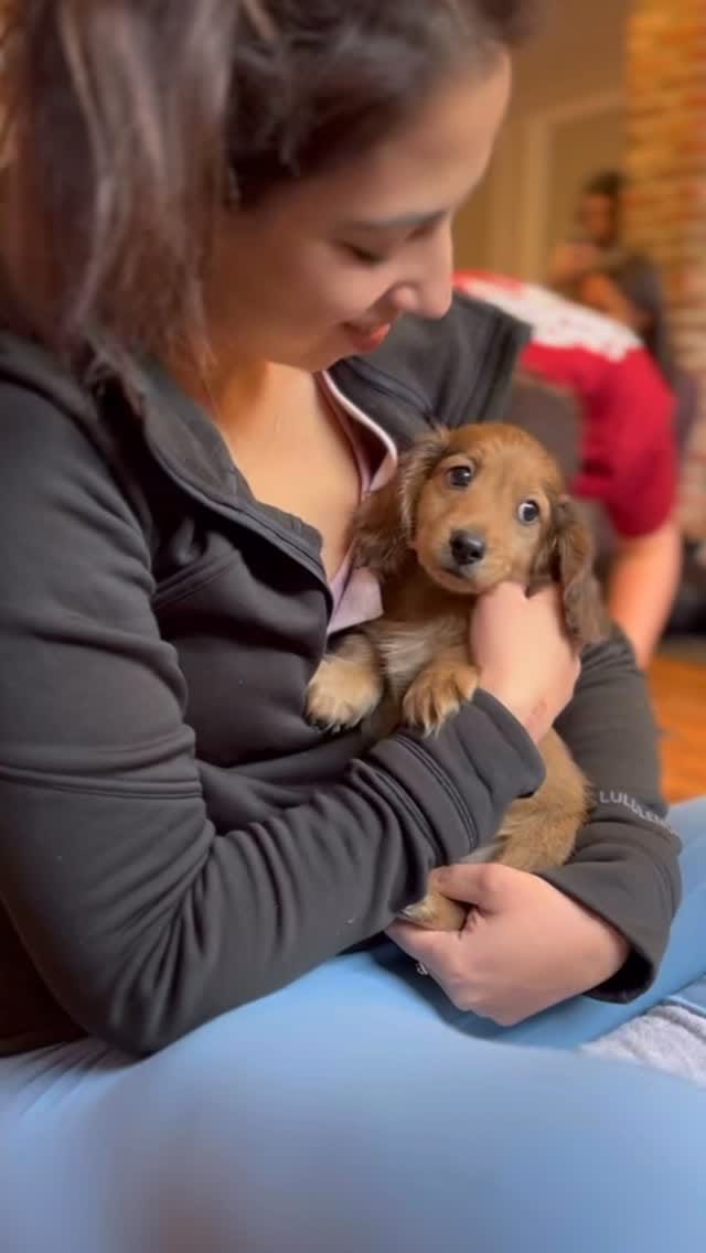 Post 9 by Paws and Pose 🐾 on Instagram (video)