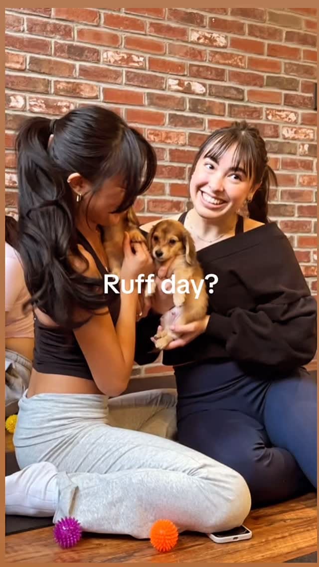 Post 6 by Paws and Pose 🐾 on Instagram (video)