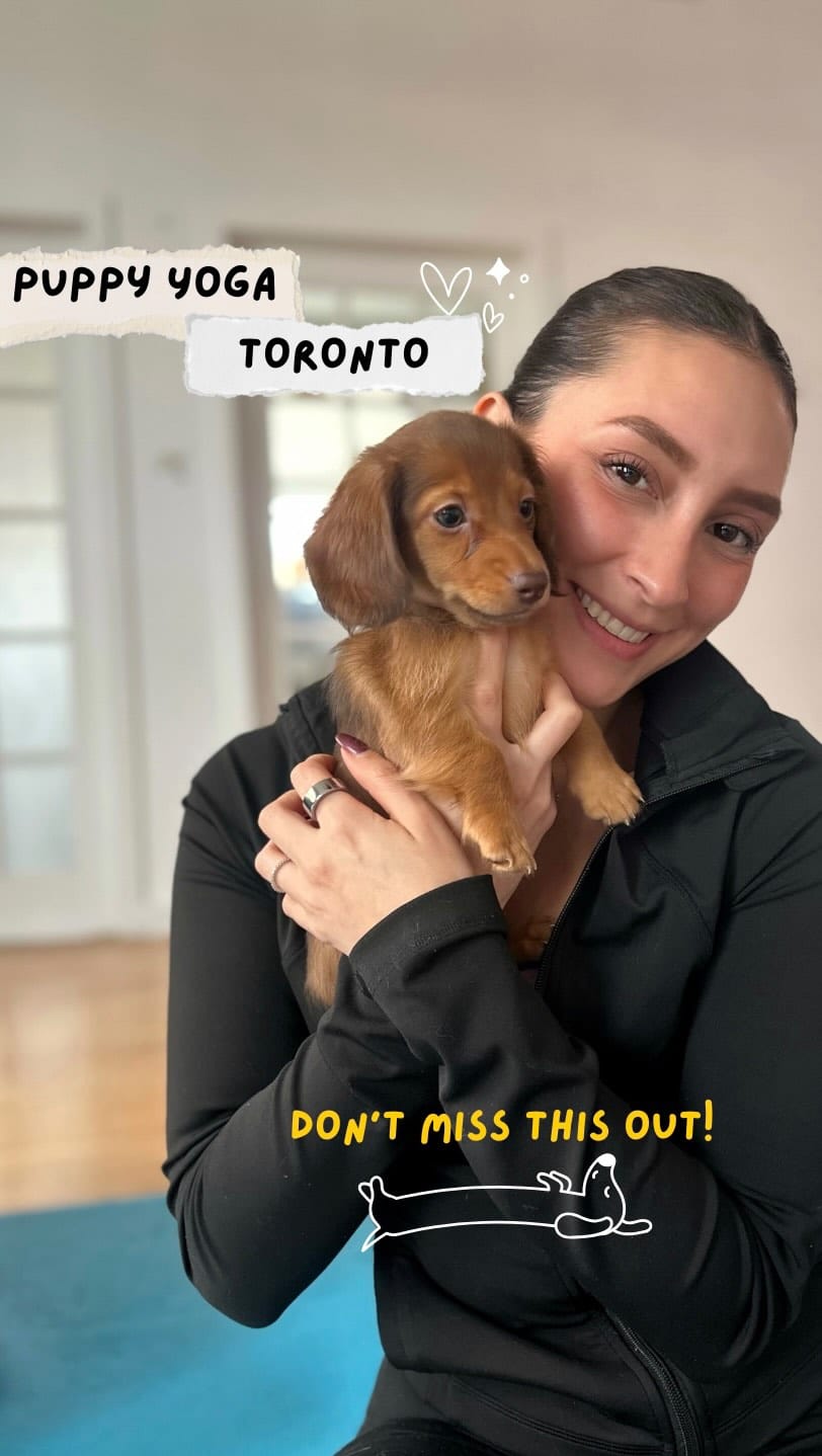 Post 5 by Paws and Pose 🐾 on Instagram (video)