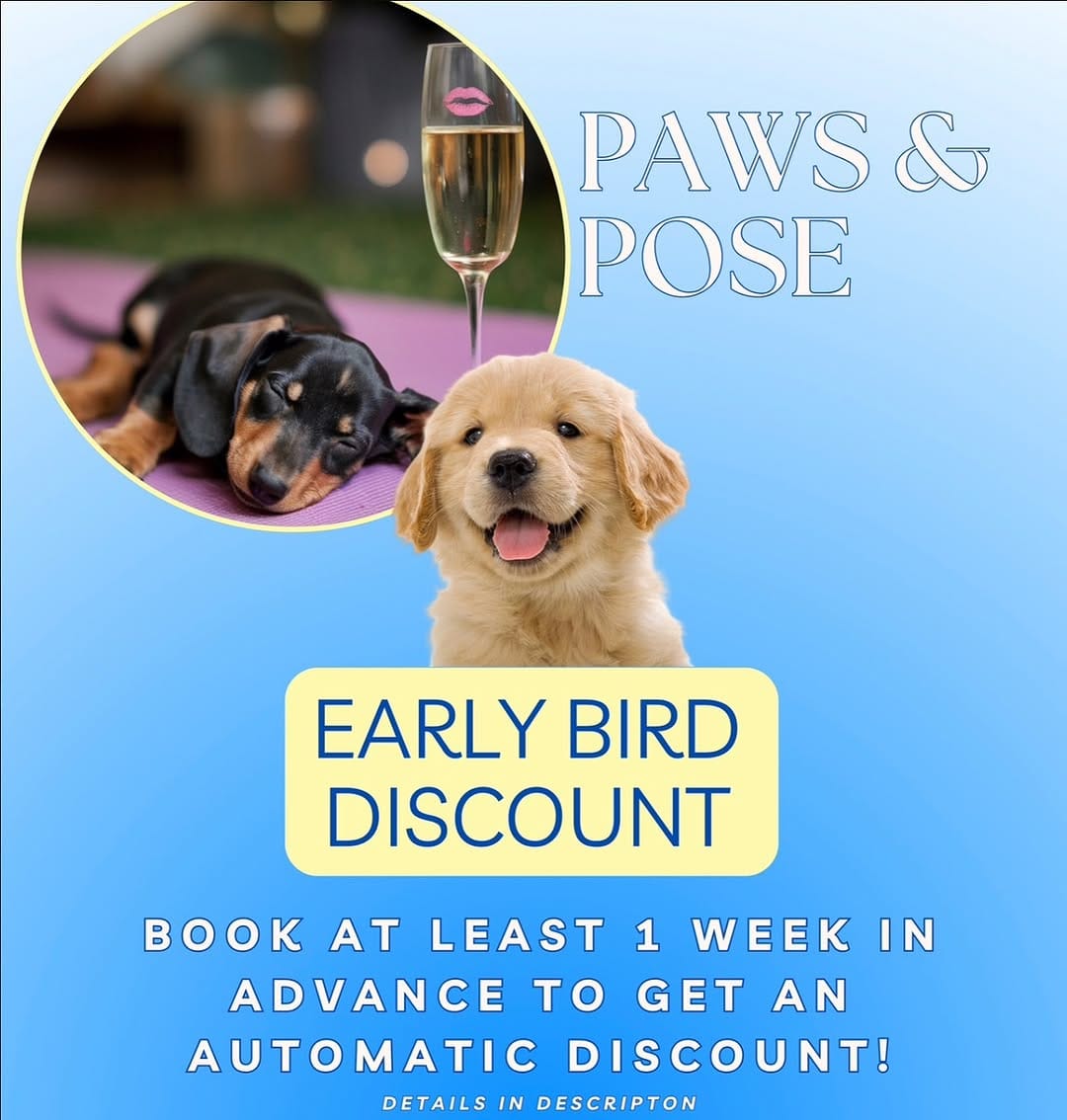 Post 10 by Paws and Pose 🐾 on Instagram (image)