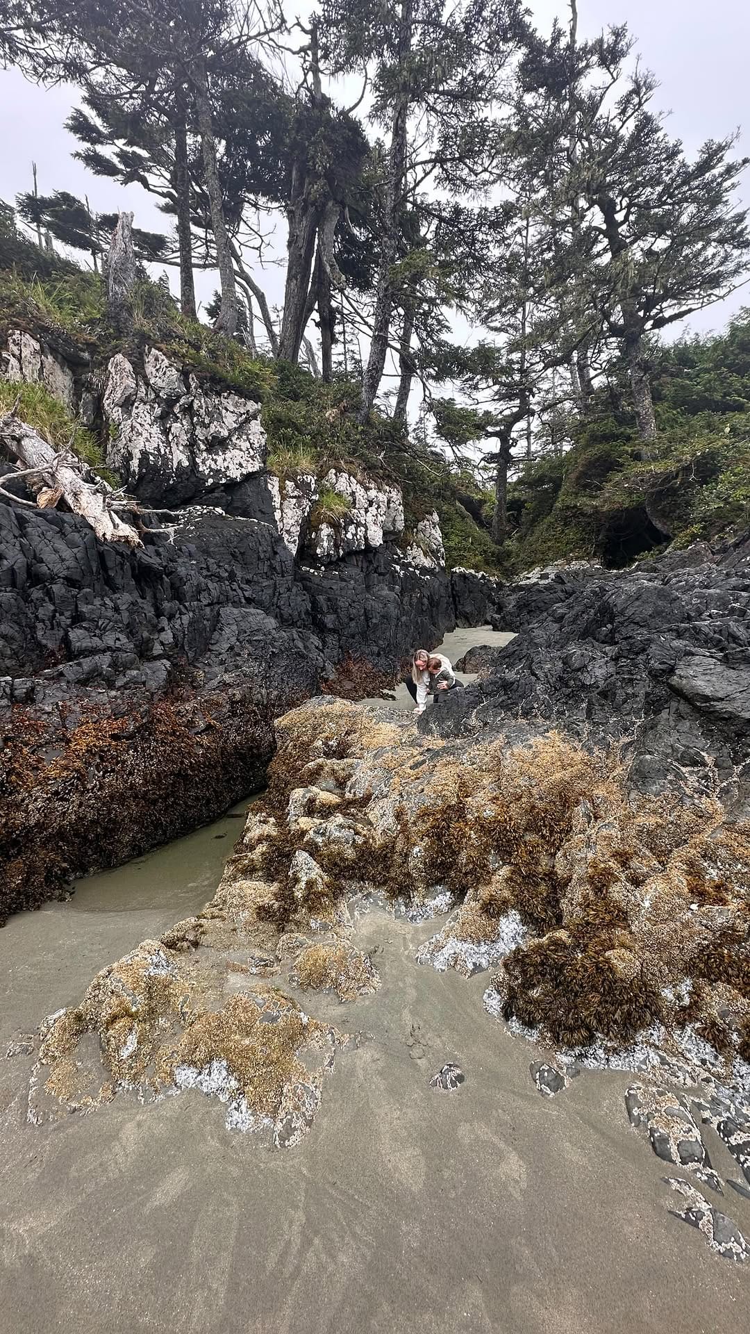 Post 10 by taylor | Vancouver Blogger on Instagram (video)