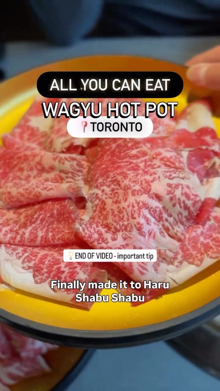 Post 1 by 🇨🇦🇯🇵 Dan from Japan 📍Toronto CAN | Tokyo JPN Foodie on Instagram (video)