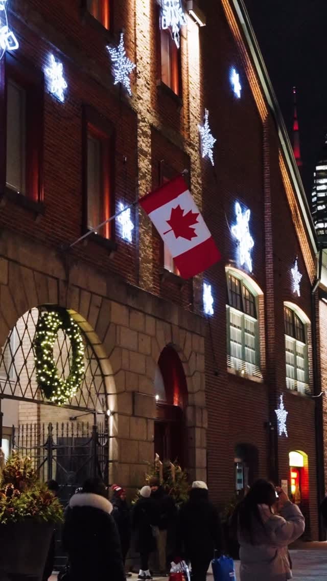 Post 7 by ASTRID MOULIN | 🇫🇷 TORONTO CREATOR on Instagram (video)