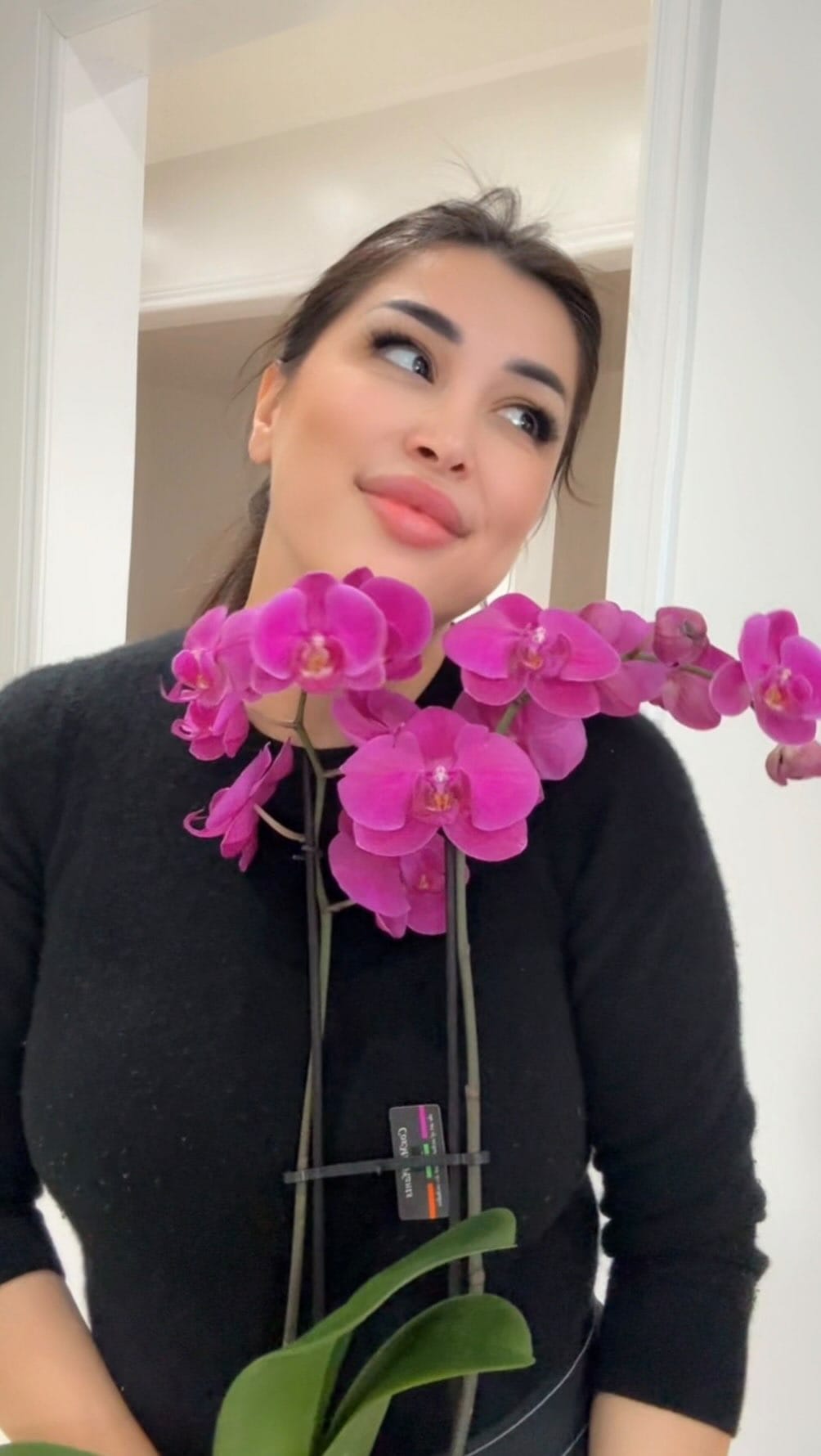 Post 6 by Miray Sadek on Instagram (video)