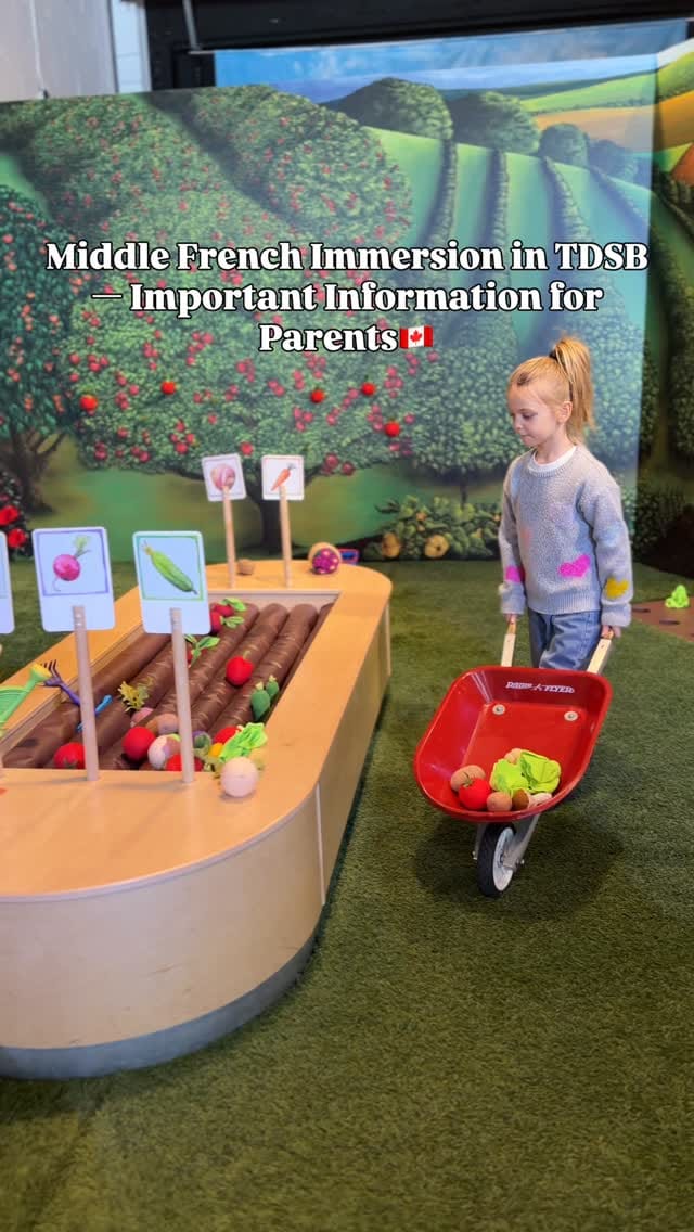 Post 4 by Daria Leheida: Newcomer and mom in Canada🇨🇦 on Instagram (video)