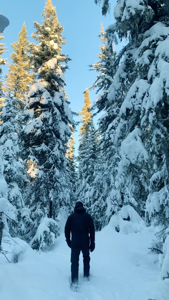 Post 10 by Trails of ‘Toba on Instagram (video)