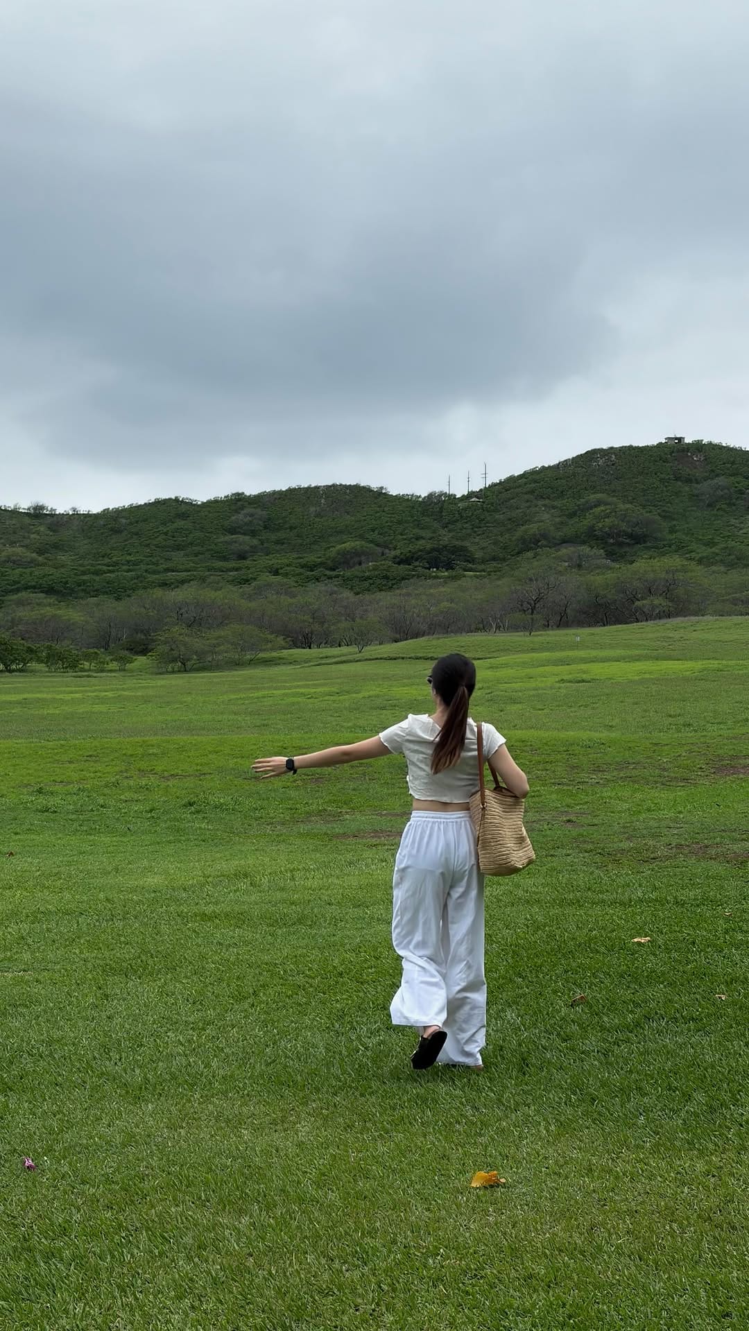 Post 2 by MOLLY JIANG on Instagram (video)