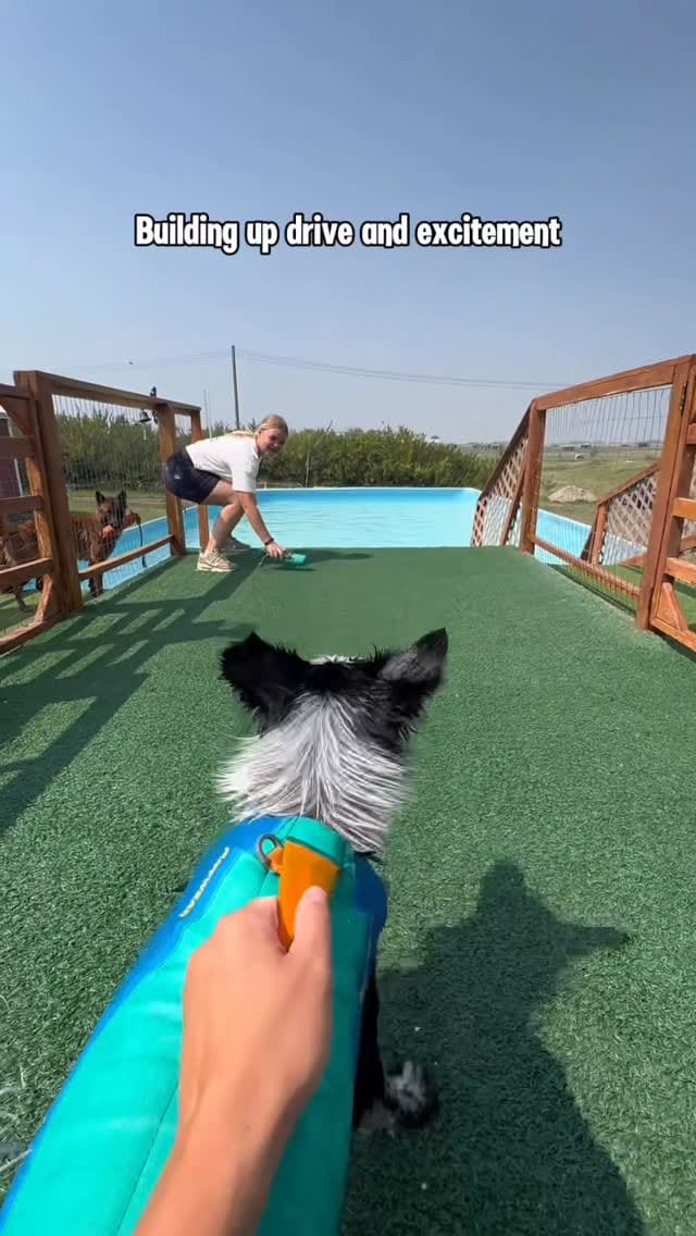 Post 2 by Shaye Nelissen | Content Creator 🏔️ Carl | SUP PUP on Instagram (video)